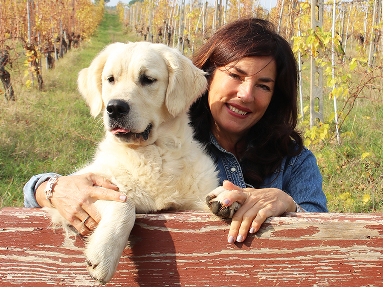 marybel golden retriever