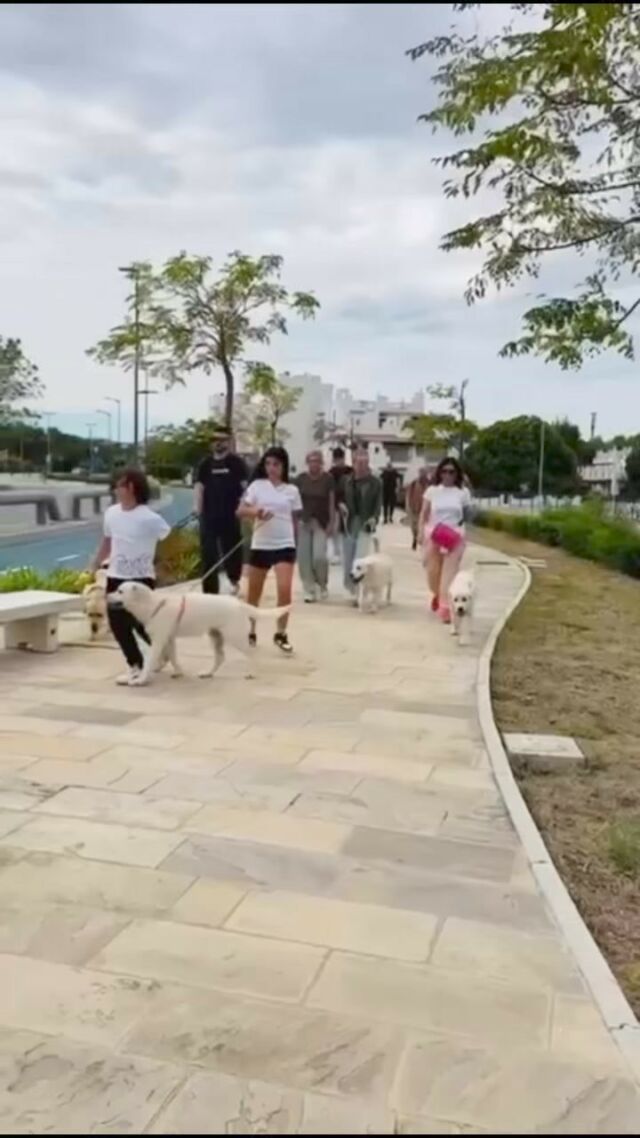 15 settembre Raduno cuccioli Marybel una bellissima giornata insieme alle famiglie dei nostri cuccioli 😃 belli 😍 e bravi! 👏 Grazie sopratutto all’associazione Valle  del Conca Nordic Walking che ci ospita nella splendida location! 😘 #marybel #goldenretriever #marybelgoldenretriever #marybelgolden